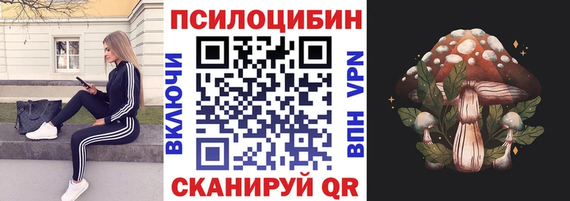 Псилоцибиновые грибы мицелий  где продают   Лесосибирск 