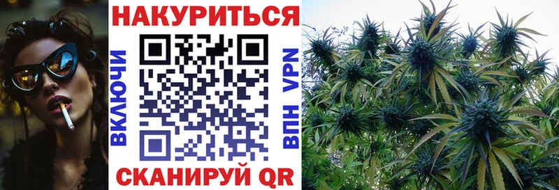 сколько стоит  Лесосибирск  Каннабис планчик 